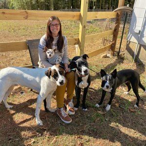 Meet your Posher, Victoria